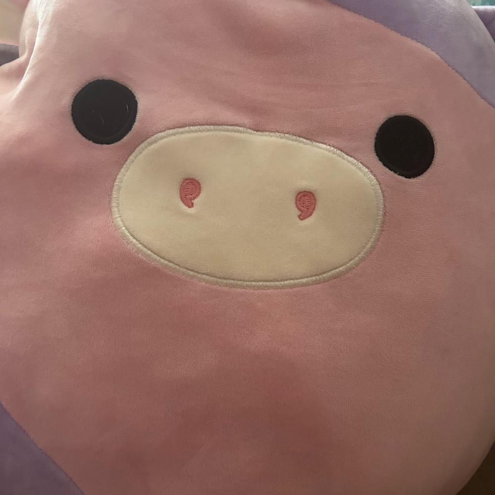 Patty squishmallow no tag also will take offers